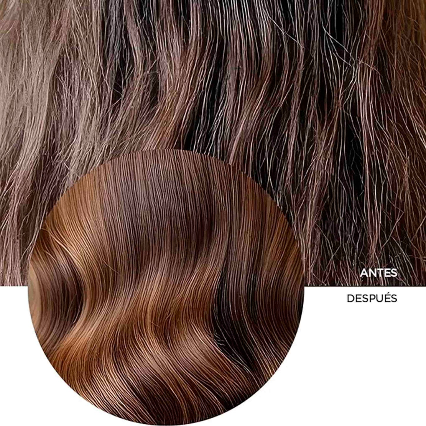 Shampoo Reparador REVOX B77 Plex Paso 4 – 260 ml REVOX- Dermocosmetica_belleza_online