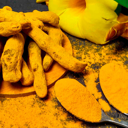 Curcuma Molida Gourmet 27 g – Sabor Natural GOURMET- Dermocosmetica_belleza_online