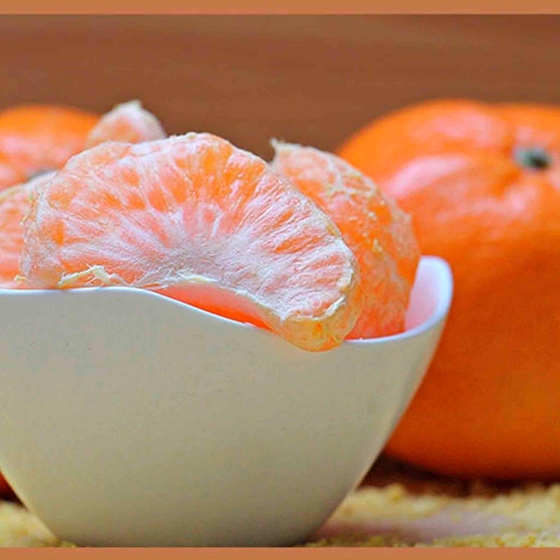 Aromatizador de Auto Ona Mandarina Cítrico Natural ONA- Dermocosmetica_belleza_online