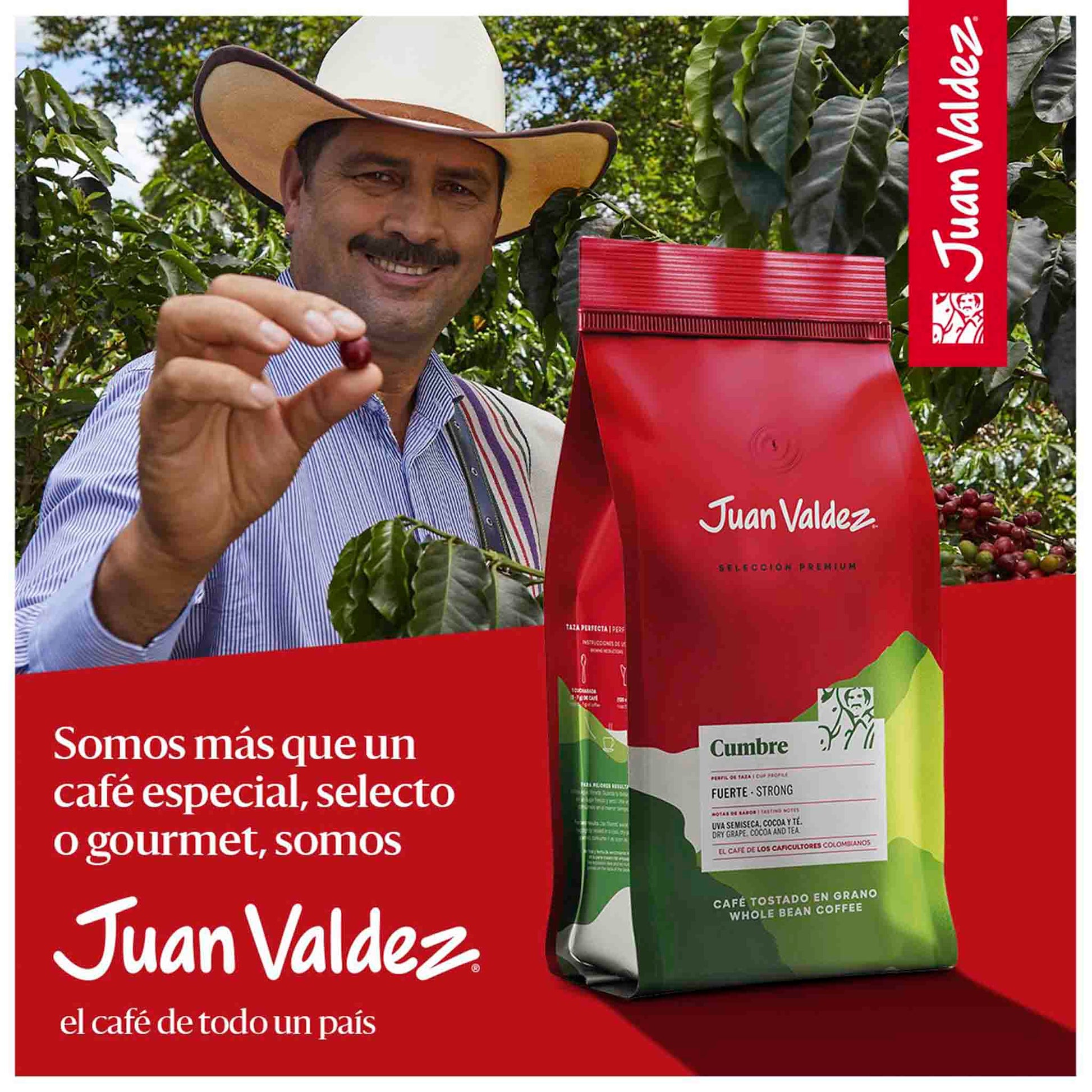 Café Juan Valdez Cumbre Molido 250 g – Sabor Intenso y Equilibrado JUAN VALDEZ- Dermocosmetica_belleza_online