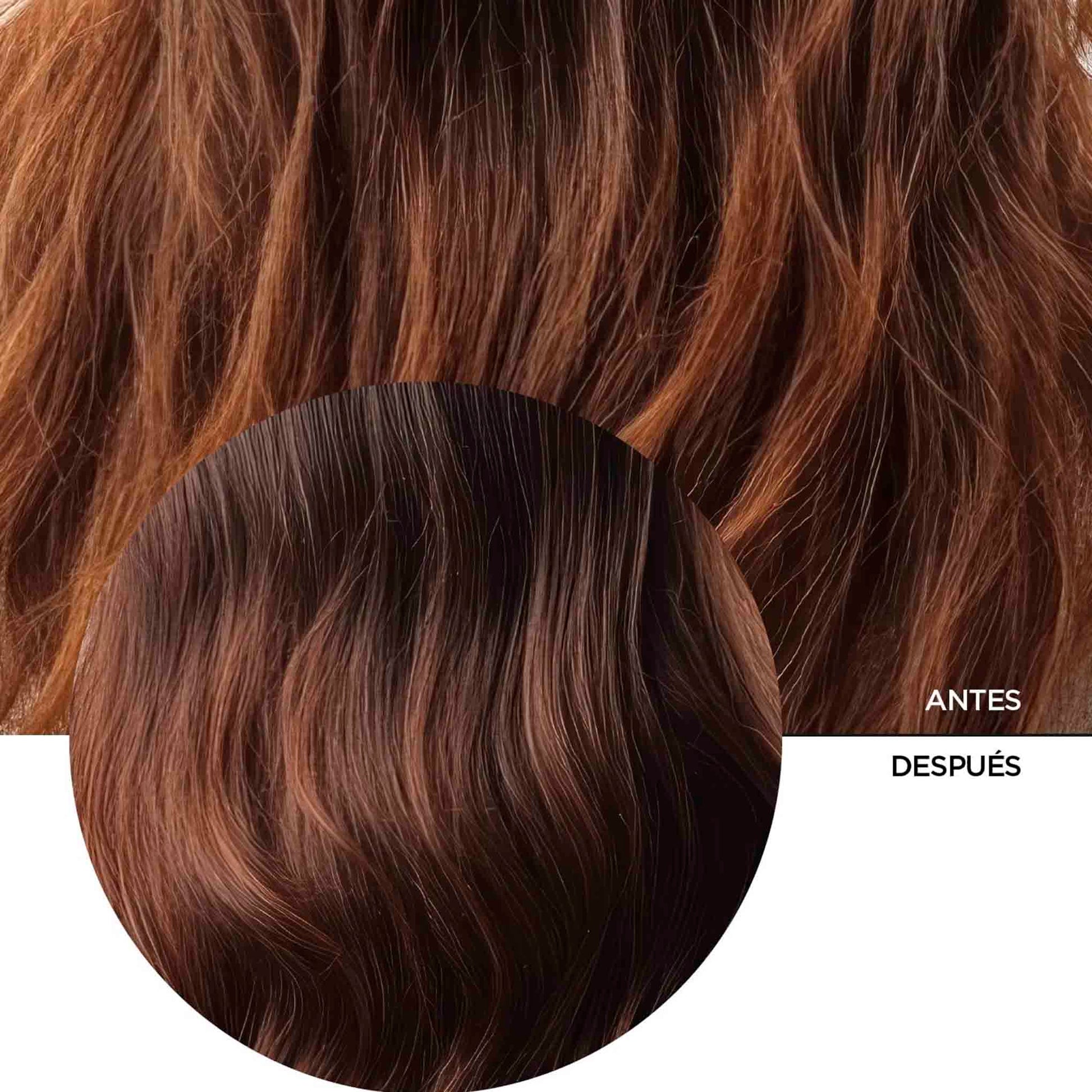 Crema Antifrizz Revox B77 Plex Paso 6 – Control y Suavidad Profesional 260 ml REVOX- Dermocosmetica_belleza_online