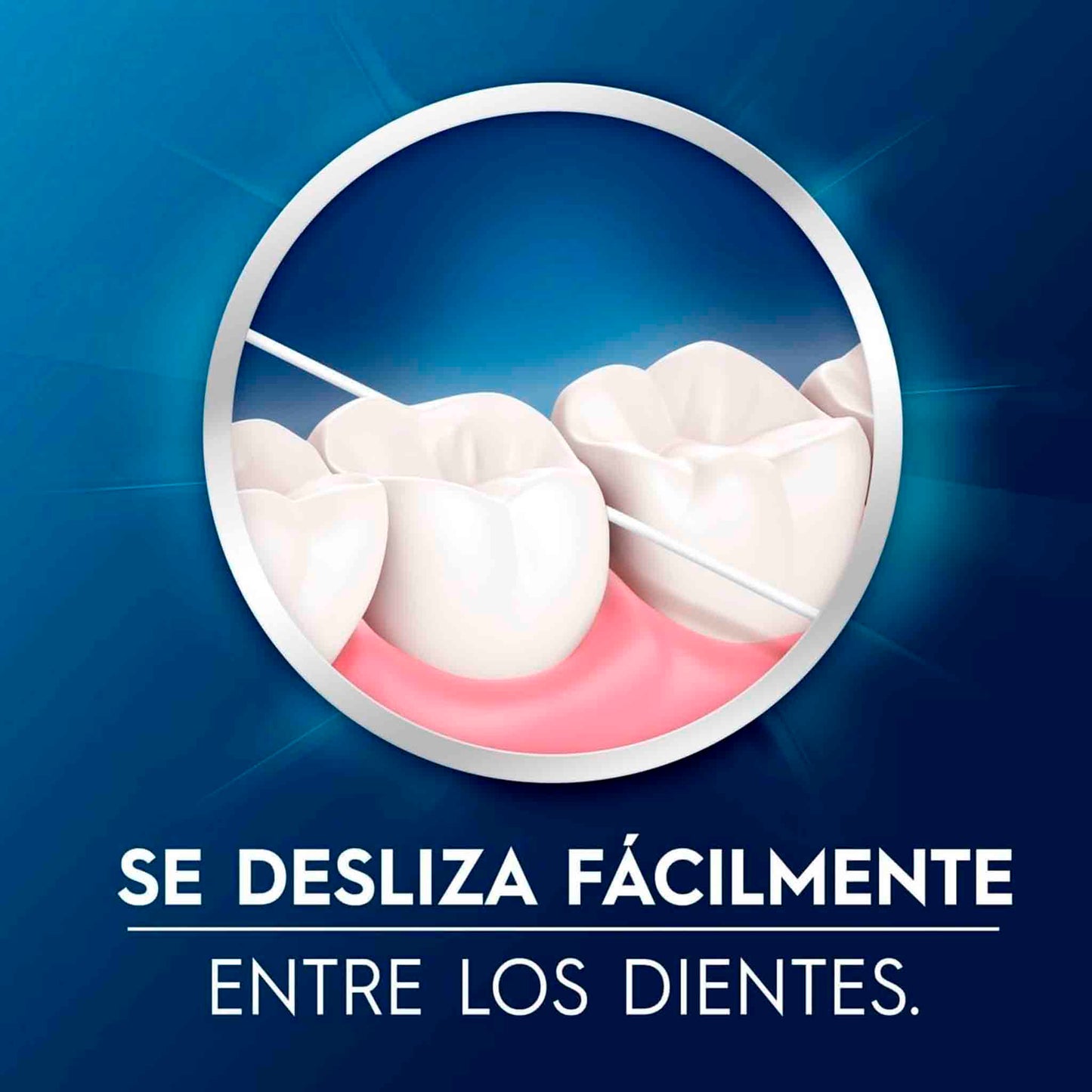 Hilo Dental Oral-B Expert 25 m – Pack 2 Unidades