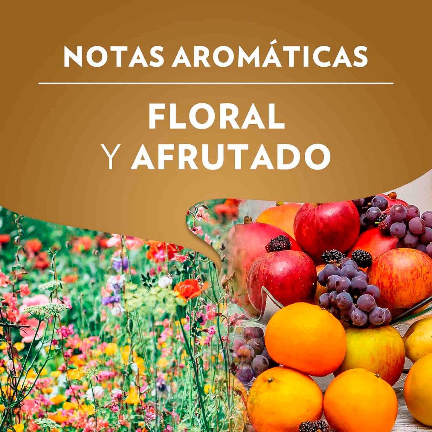 Lavazza Café Qualità Oro 250g – Grano Molido