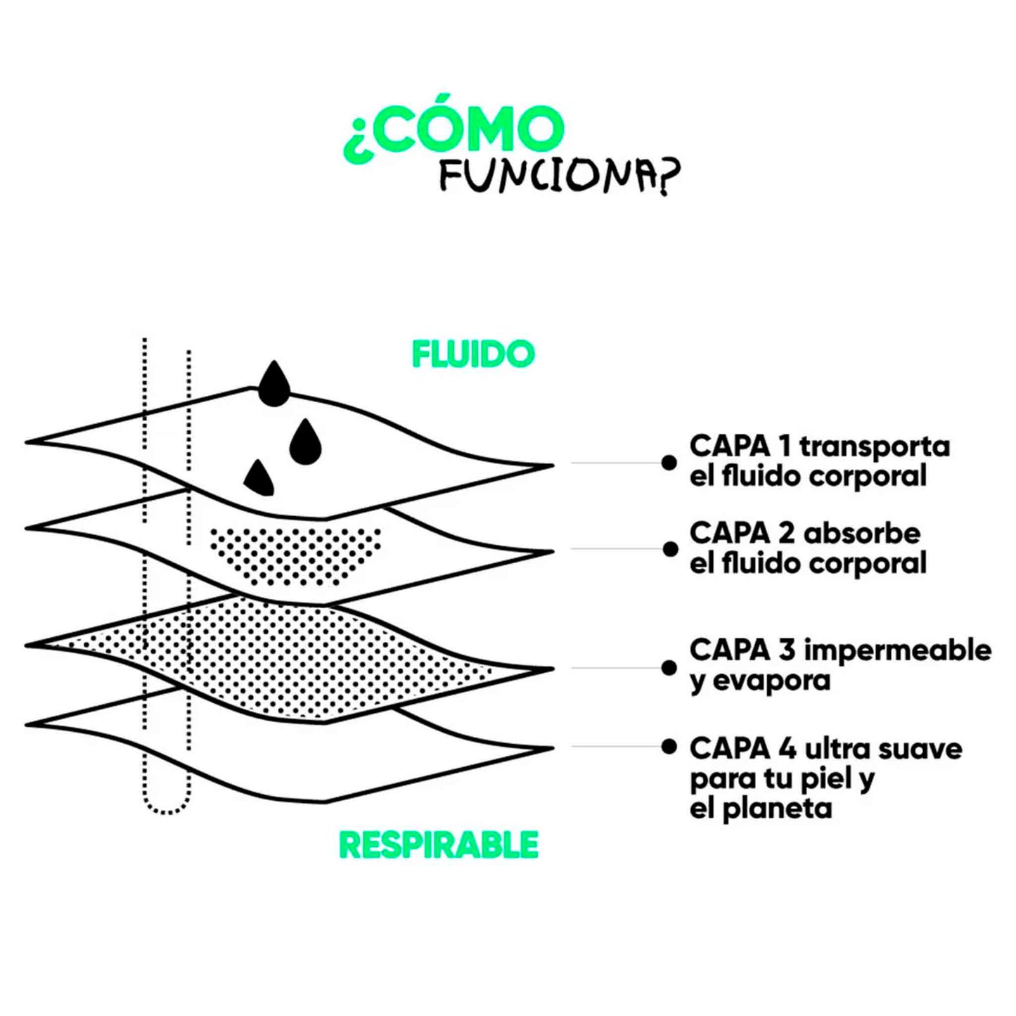 Calzón Menstrual Bikini Flujo Moderado -  BloodyGreen