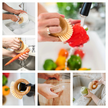 Escobilla Para Lavar Verduras y Loza The Ring Bambú Full Circle- Dermocosmetica_belleza_online