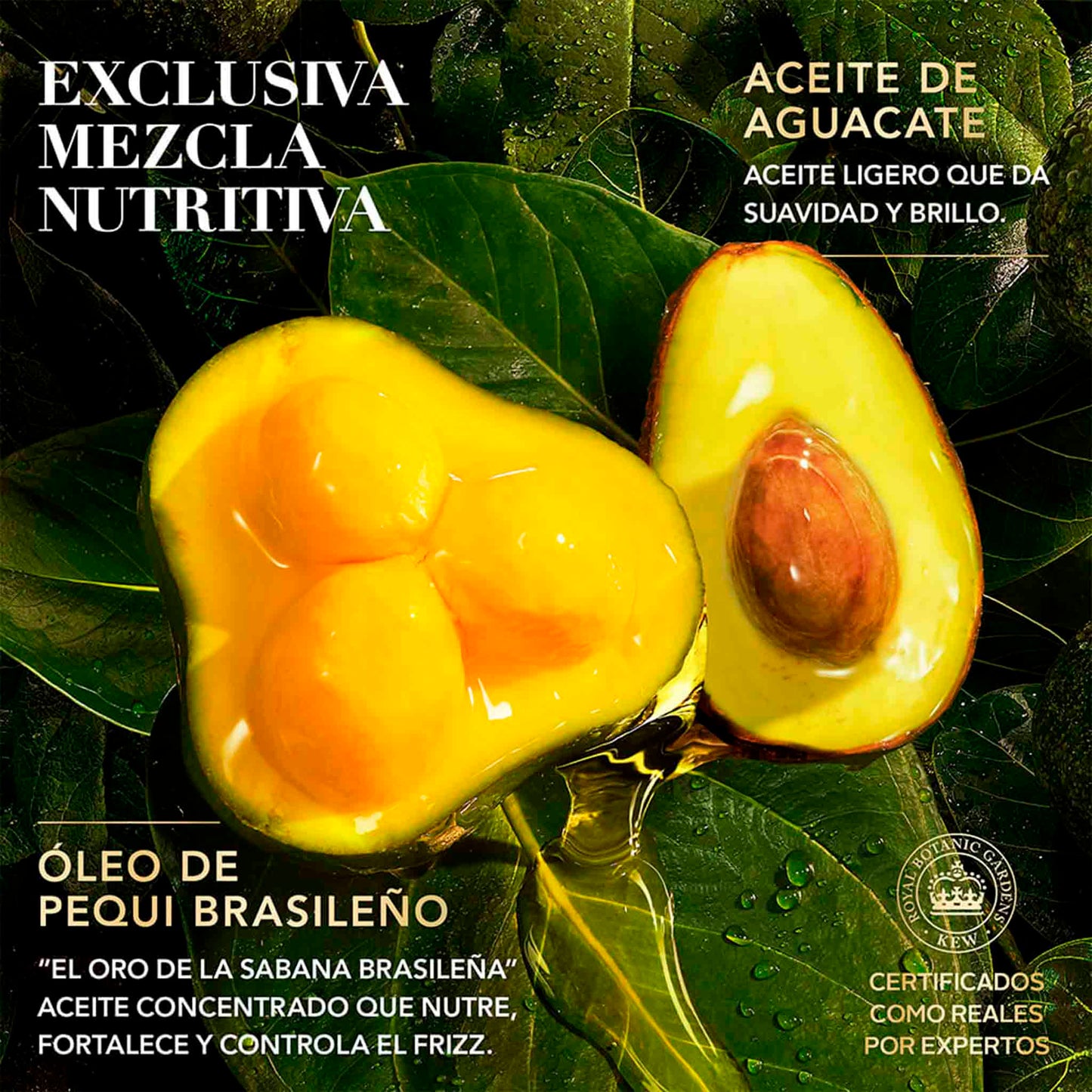 Herbal Essences Acondicionador Pequi & Aguacate Nutritivo