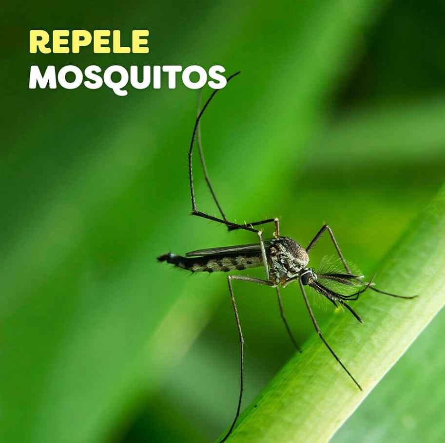 Off! Extra Duración Spray Repelente de Insectos OFF- Dermocosmetica_belleza_online