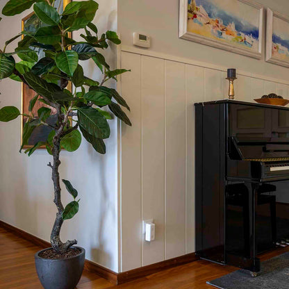 RADARCAN Pest Repeller R-200 | Repelente Electrónico de Plagas para el Hogar