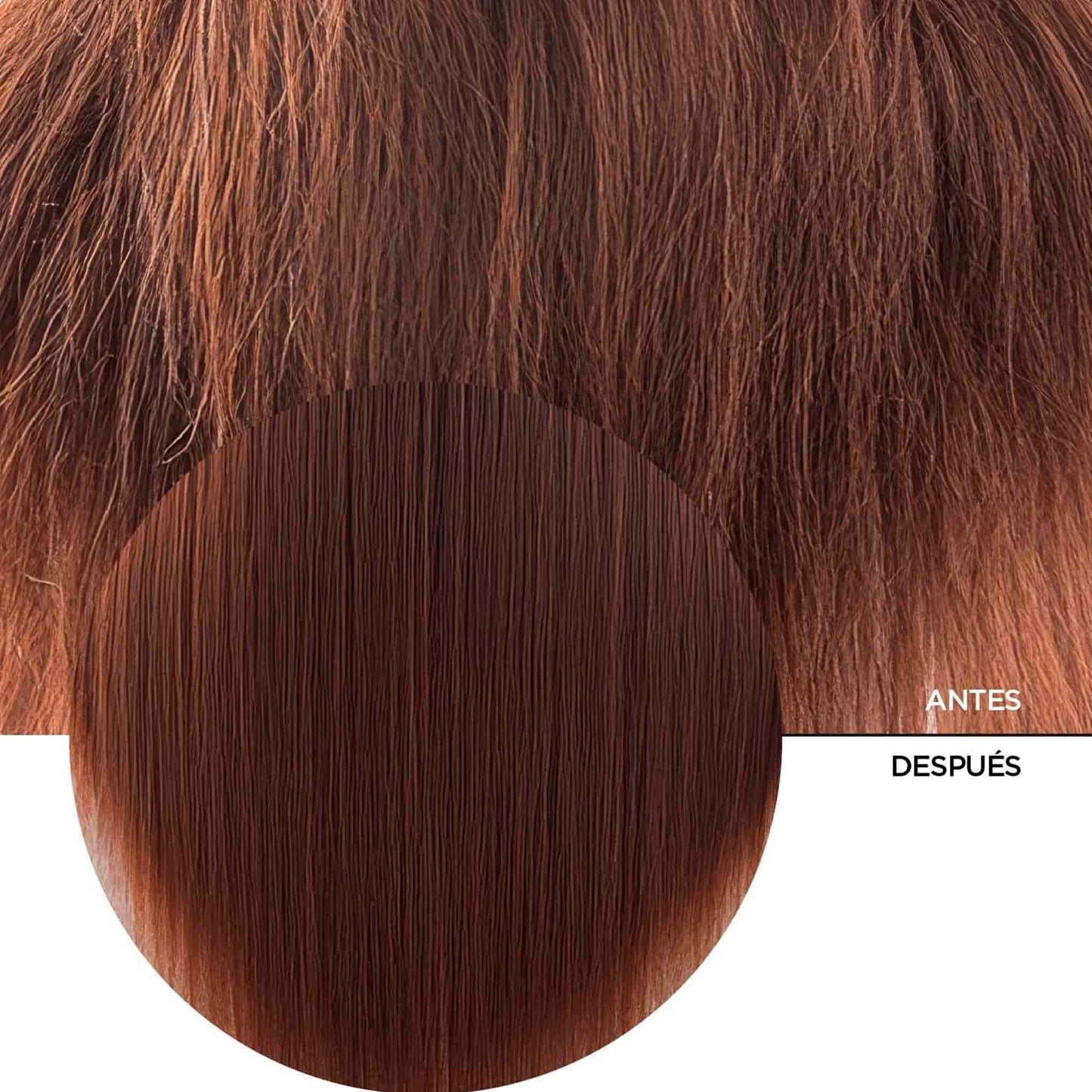 Revox B77 Plex Paso 3 · Tratamiento Fortalecedor para un Cabello Perfecto REVOX- Dermocosmetica_belleza_online