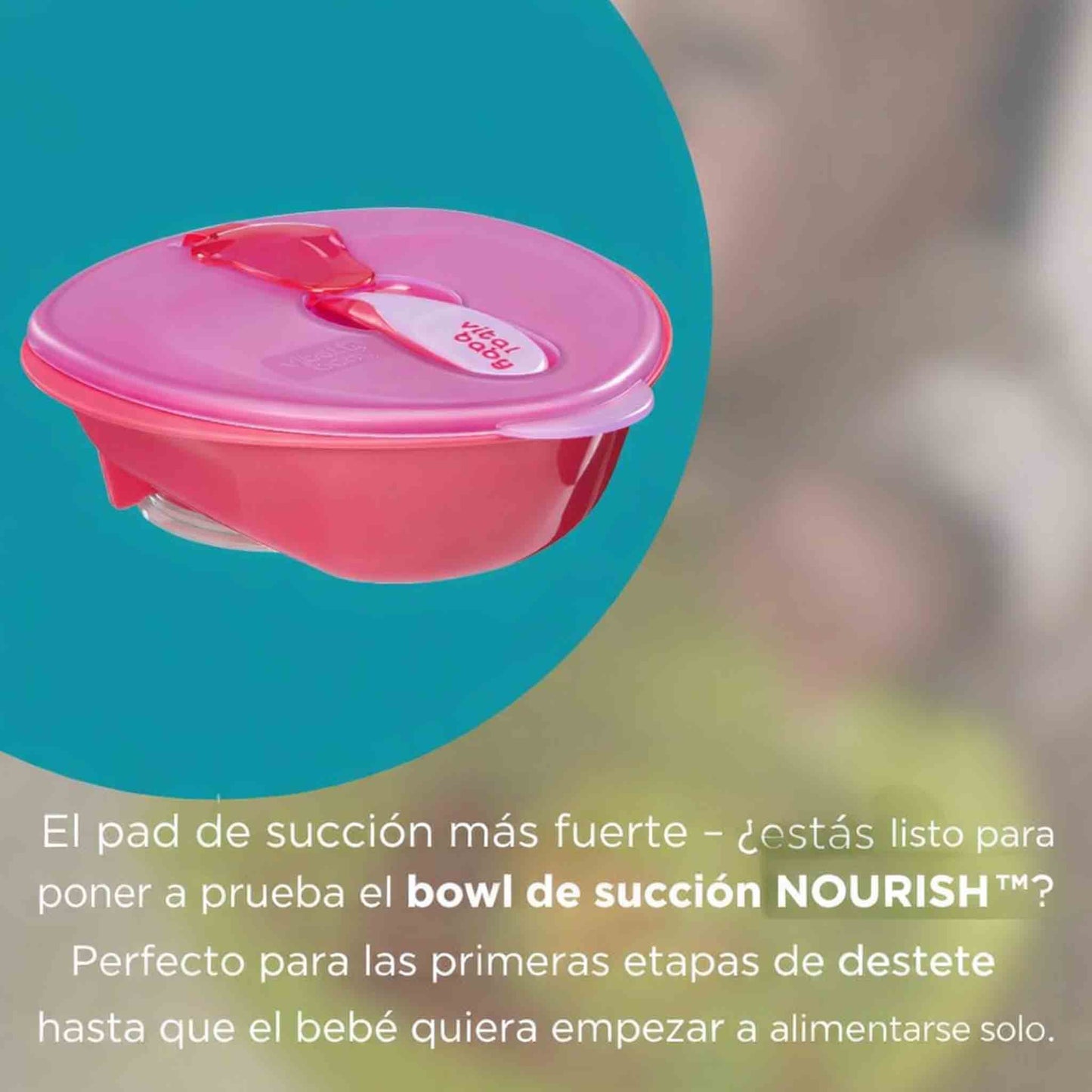Plato con ventosa Vital Baby Nourish para bebe desde 6 meses con succion fuerte que evita derrames en la alimentacion.